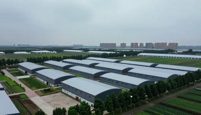 电子产品一件代发的日常维护方法与使用建议